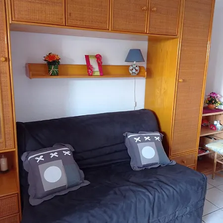 Rez De Jardin Pinède Proximité Quartier Naturiste Appartement